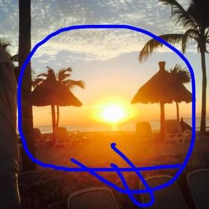 Meet your Posher, Van